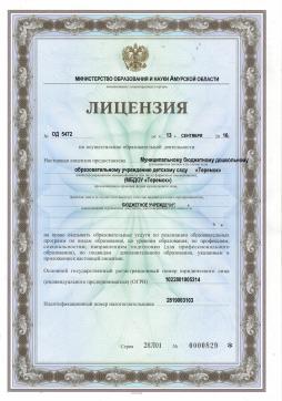 Лицензия МБДОУ "Теремок"